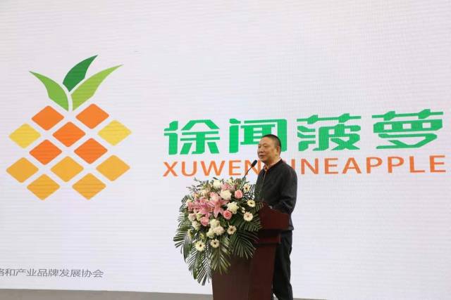 强品牌，谋发展！徐闻菠萝区域公用品牌LOGO正式发布(图2)