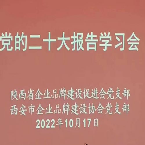 学习党的二十大报告，推动品牌引领高质量发展   