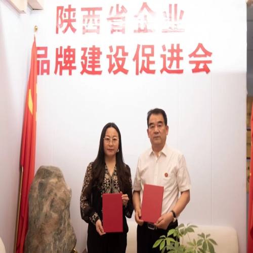 中国数字电视台与陕西省品牌促进会达成战略合作