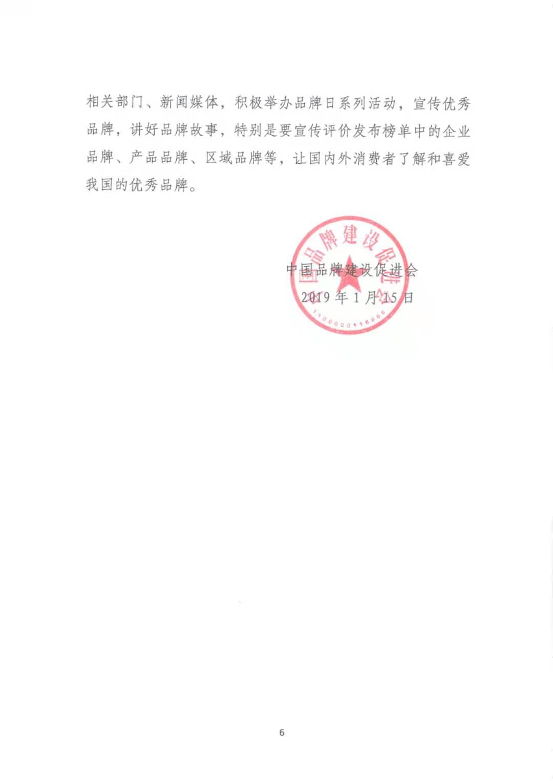 《关于贯彻实施“发挥引领作用 推动经济高质量发展”的指导意见》（国品会【2019】4号）(图6)